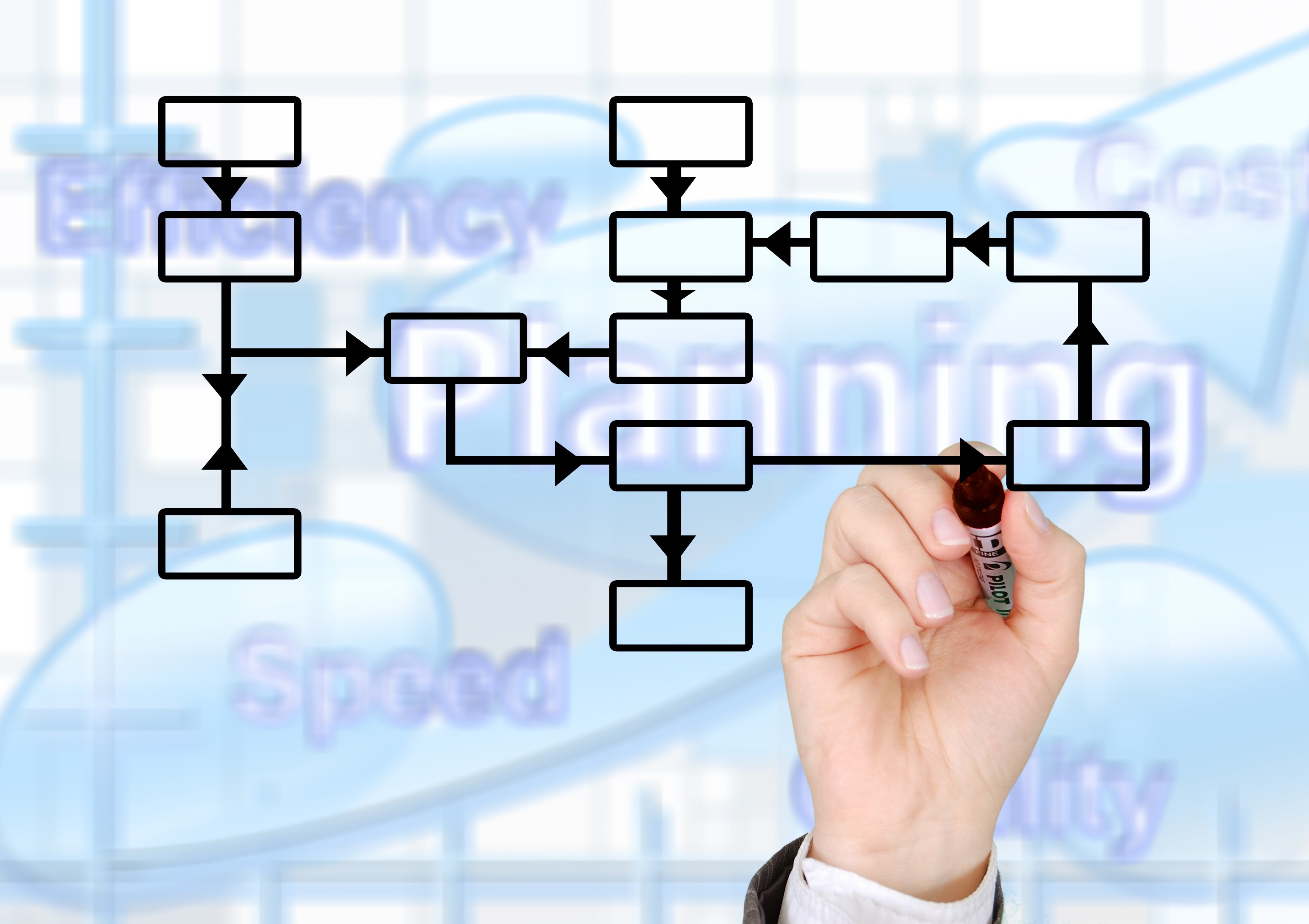 Which business processes to automate